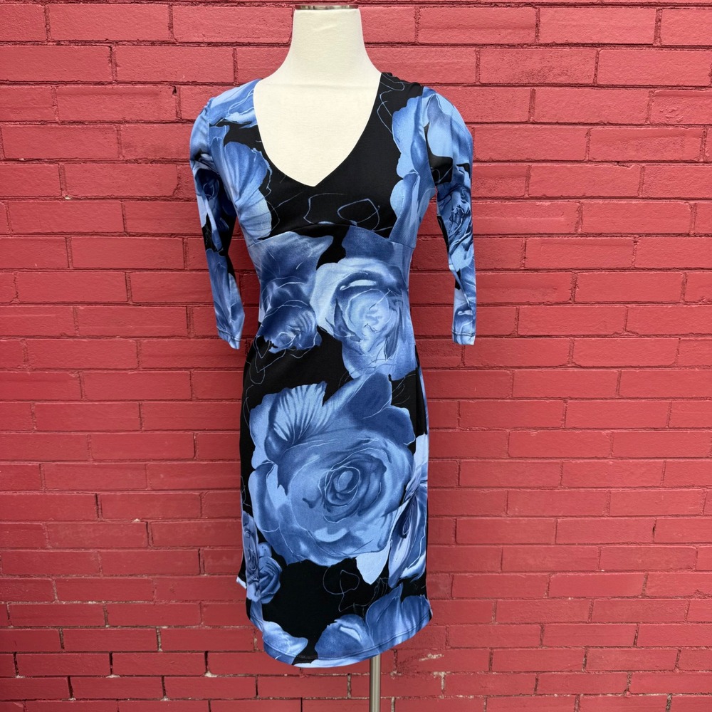Vtg Don Sophisticates Rose Floral Mesh Dress M USA Romantic Fairy Whimsyhgoth